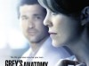 Grey’s Anatomy – I Must Have Lost it on the Wind